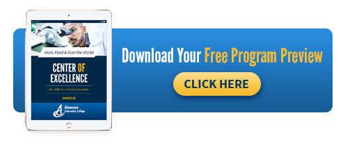 点击这里下载免费程序预览