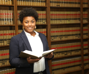 教育、法律和公共服务